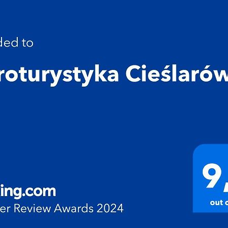 Agroturystyka Cieslarowka لوبافكا المظهر الخارجي الصورة